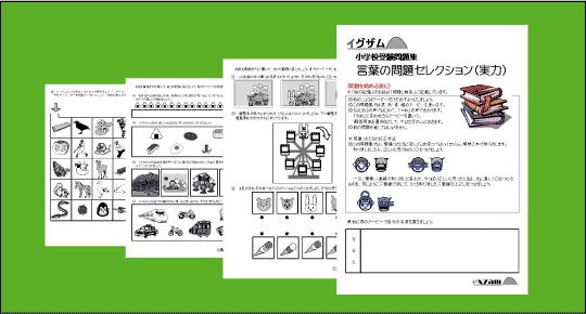 言葉の問題セレクション実力の写真