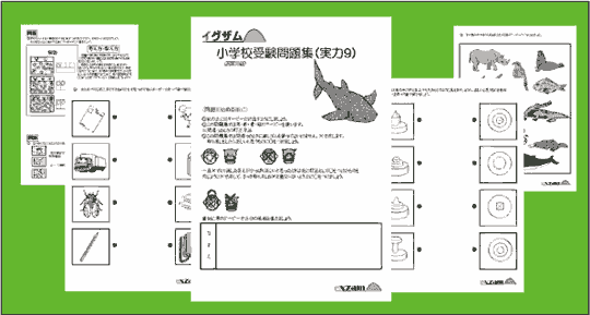 実力問題集９の写真