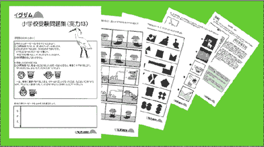 実力問題集１３