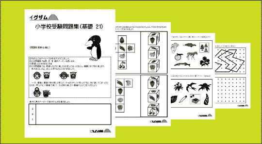 基礎問題集２１の写真