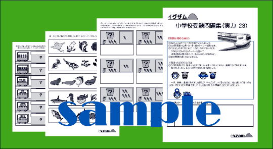 小学校受験問題集実力２３の画像